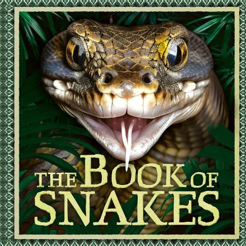 Cover image for The Book of Snakes