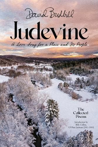 Cover image for Judevine