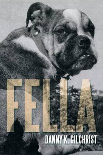 Cover image for Fella