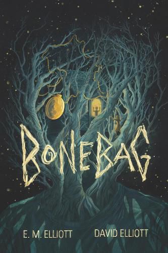 Cover image for Bonebag