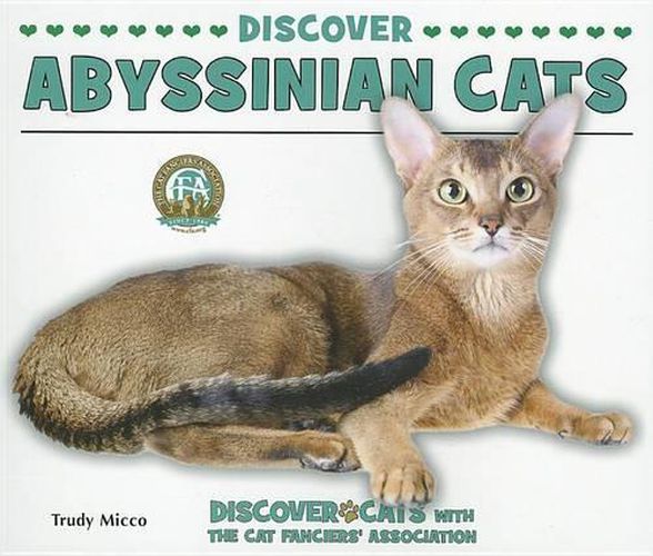 Cover image for Discover Abyssinian Cats