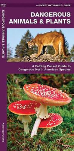 Cover image for Dangerous Animals & Plants: A Folding Pocket Guide to Dangerous North American Species