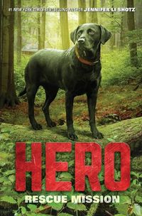 Cover image for Hero: Rescue Mission