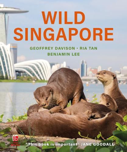 Cover image for Wild Singapore