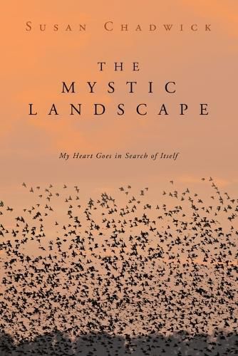 Cover image for The Mystic Landscape