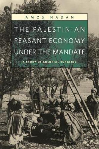 Cover image for The Palestinian Peasant Economy under the Mandate: A Story of Colonial Bungling