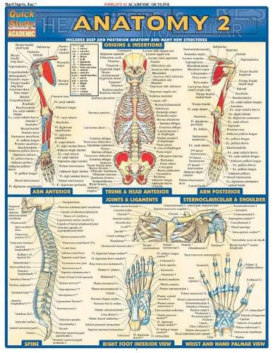 Cover image for Anatomy 2 - Reference Guide