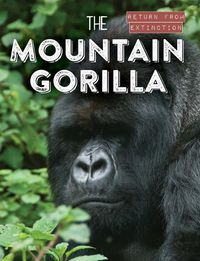 Cover image for The Mountain Gorilla