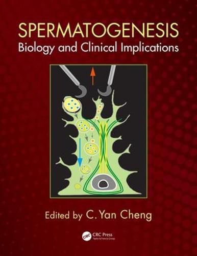 Cover image for Spermatogenesis: Biology and Clinical Implications