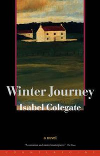 Cover image for Winter Journey