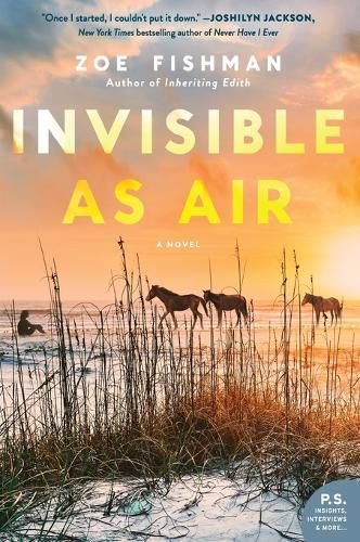 Cover image for Invisible as Air: A Novel