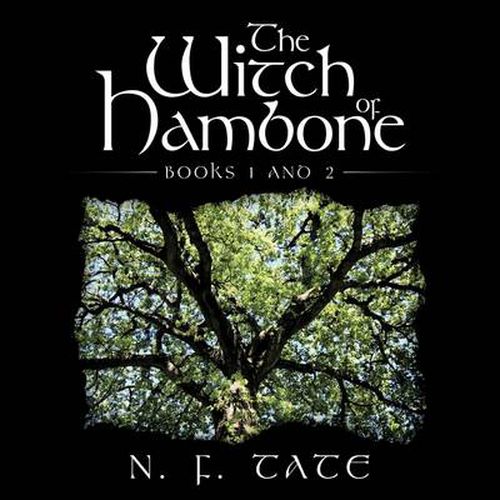 Cover image for The Witch of Hambone: Books 1 and 2