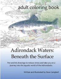 Cover image for Adirondack Waters: Beneath the Surface