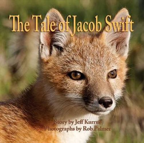 Cover image for The Tale of Jacob Swift