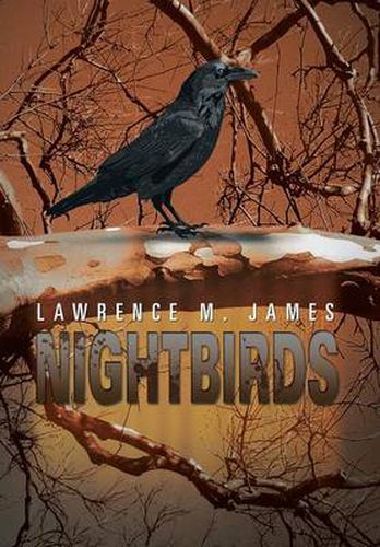 Cover image for Nightbirds