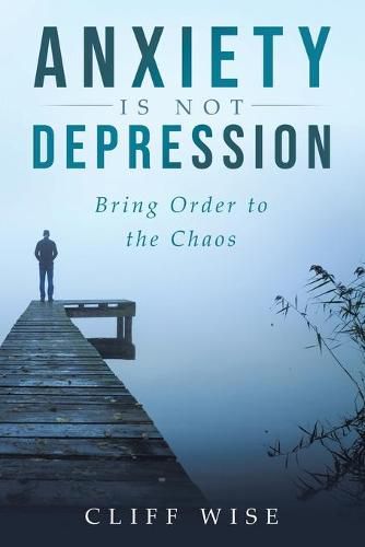 Cover image for ANXIETY is not DEPRESSION: Bring Order to the Chaos