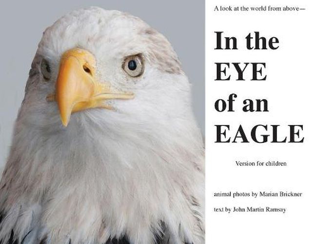 Cover image for In the Eye of an Eagle: A look at the world from above.