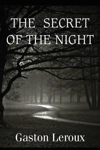 Cover image for The Secret of the Night