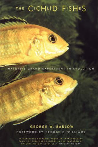 Cover image for The Cichlid Fishes: Nature's Grand Experiment in Evolution