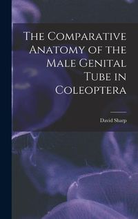 Cover image for The Comparative Anatomy of the Male Genital Tube in Coleoptera