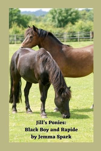 Cover image for Jill's Ponies