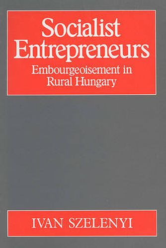 Cover image for Socialist Entrepreneurs (P)