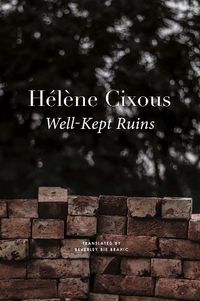 Cover image for Well-Kept Ruins