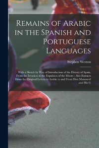 Cover image for Remains of Arabic in the Spanish and Portuguese Languages