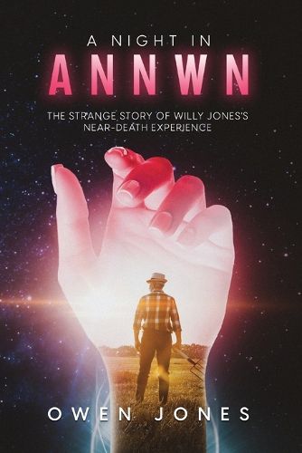 Cover image for A Night in Annwn