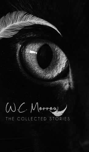 Cover image for The Collected Stories (Edition1st)