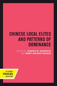 Cover image for Chinese Local Elites and Patterns of Dominance