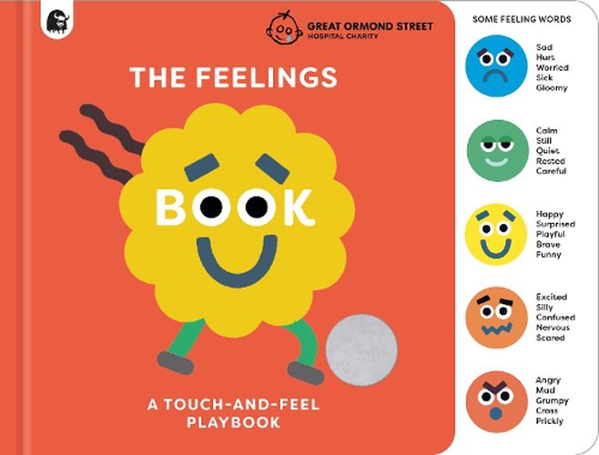 Cover image for The Feelings Book: Touch-and-Feel Emotions