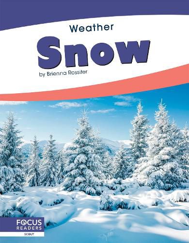 Cover image for Weather: Snow