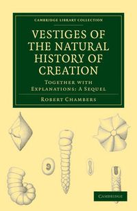 Cover image for Vestiges of the Natural History of Creation: Together with Explanations: A Sequel