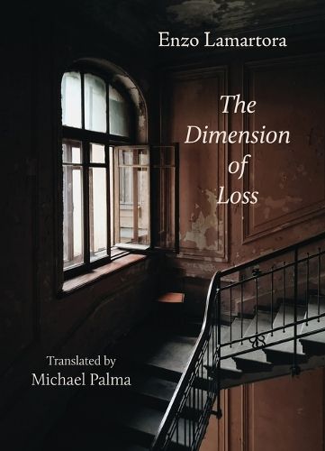 Cover image for The Dimension of Loss