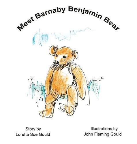 Cover image for Meet Barnaby Benjamin Bear