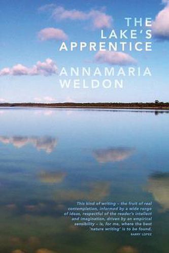 Cover image for The Lake's Apprentice