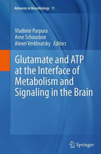 Cover image for Glutamate and ATP at the Interface of Metabolism and Signaling in the Brain