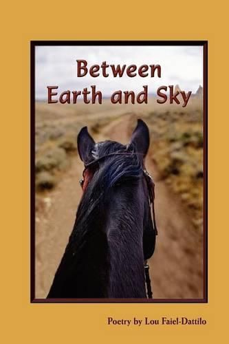 Cover image for Between Earth and Sky