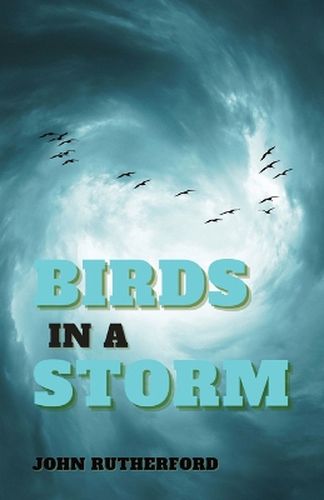 Cover image for Birds in a Storm