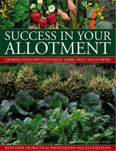 Cover image for Success in Your Allotment