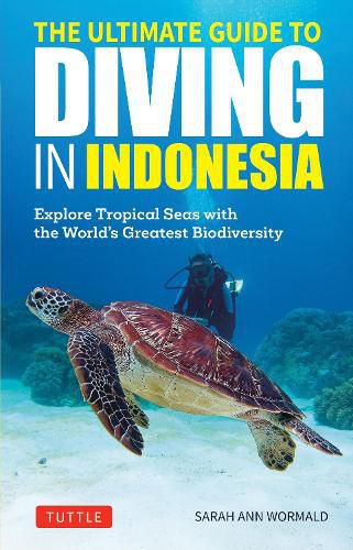 Cover image for The Ultimate Guide to Diving in Indonesia