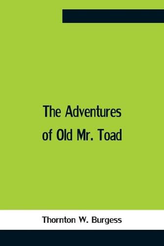 Cover image for The Adventures Of Old Mr. Toad