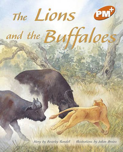 The Lions and the Buffaloes