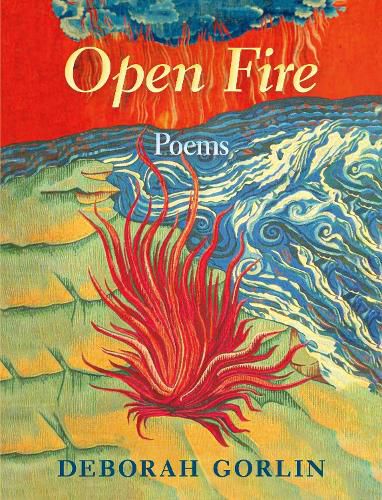 Cover image for Open Fire