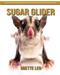 Cover image for Sugar Glider