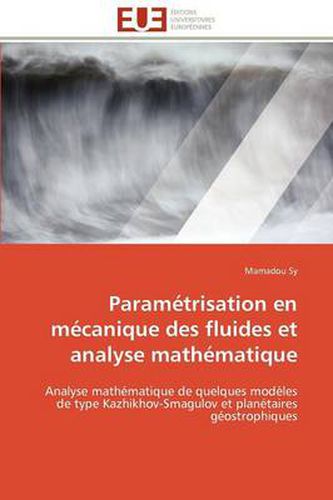 Cover image for Param Trisation En M Canique Des Fluides Et Analyse Math Matique