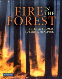 Cover image for Fire in the Forest