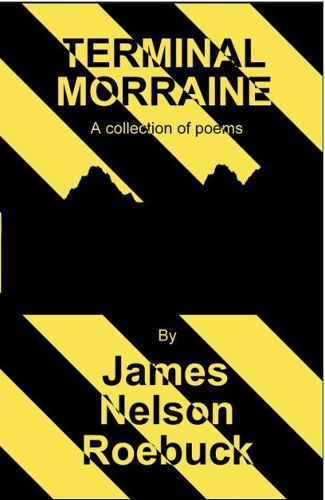 Cover image for Terminal Morraine