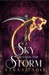 Cover image for A Sky Beyond the Storm
